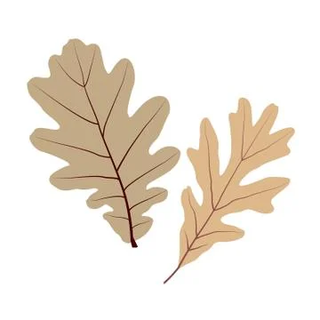 Vector leaf for your ideas Stock Illustration