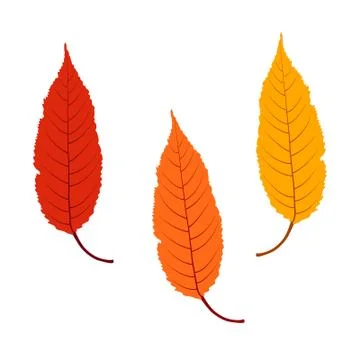 Vector leaf for your ideas Stock Illustration