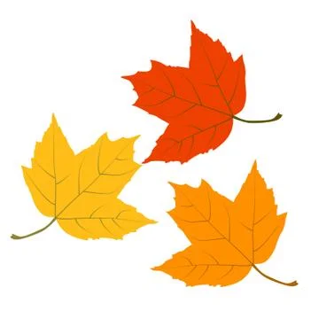 Vector leaf for your ideas Stock Illustration