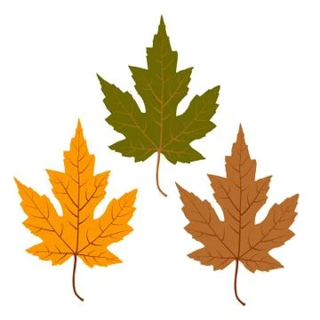 Vector leaf for your ideas Stock Illustration