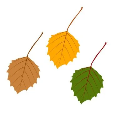 Vector leaf for your ideas Stock Illustration