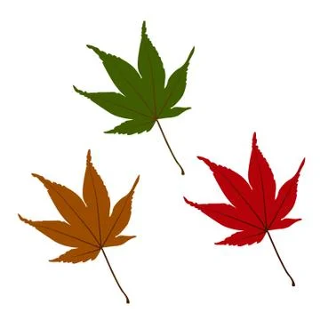 Vector leaf for your ideas Stock Illustration