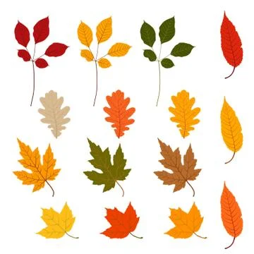 Vector leaf for your ideas Stock Illustration