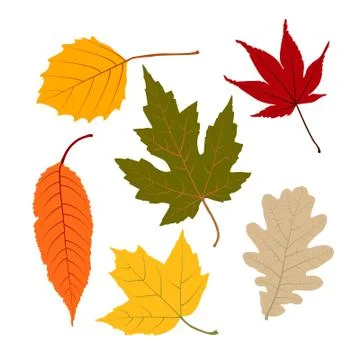 Vector leaf for your ideas Stock Illustration