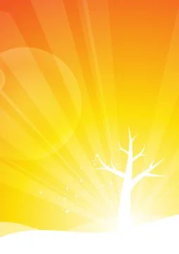 Vector : Leafless tree on orange background Stock Illustration