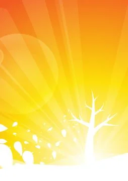 Vector : Leafless tree on orange background Stock Illustration