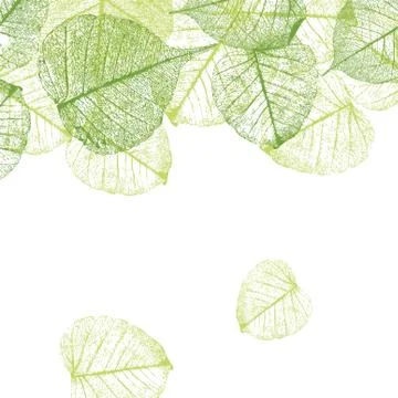 Vector leaves background Stock Illustration