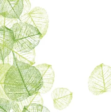 Vector leaves background Stock Illustration