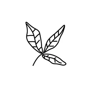 The vector leaves of the basil black line. Simple food and cooking Stock Illustration