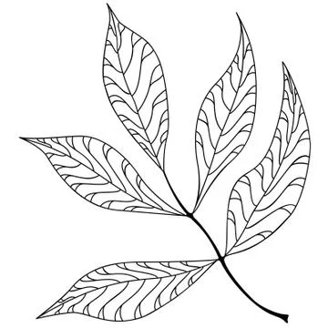 Vector leaves on a branch Stock Illustration