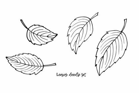 Vector leaves clipart set. Doodle sketch illustration. Floral Herb Design Stock Illustration