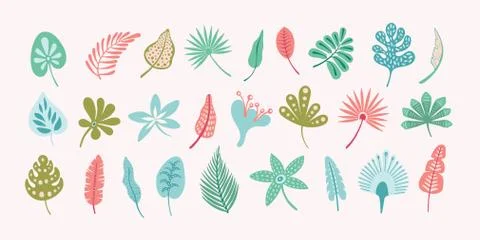 Vector leaves design set. Cute tropical leaf clip art. Nature elements. Stock Illustration