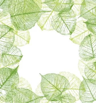 Vector leaves frame Stock Illustration