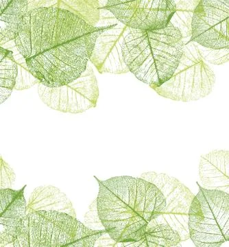 Vector leaves frame Stock Illustration