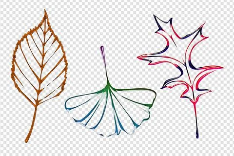Vector Leaves icons. On a transparent background png. Stock Illustration