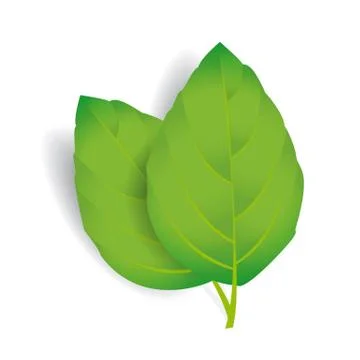 Vector leaves isolated on white Stock Illustration