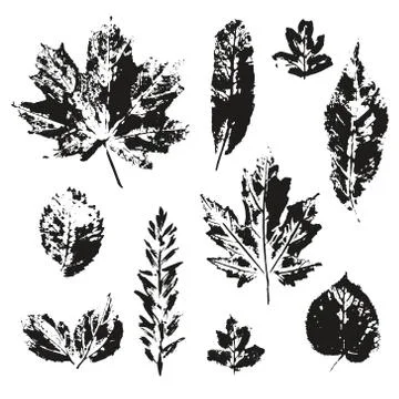 Vector leaves print set isolated Stock Illustration