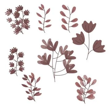 Vector leaves set Stock Illustration