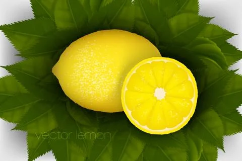 Vector lemon on leaves Stock Illustration