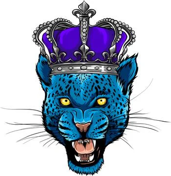 Vector Leopard Portrait. Angry wild big cat head. Stock Illustration