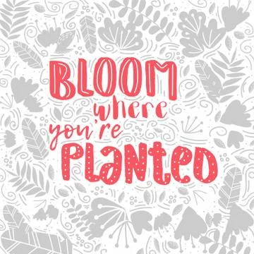 Vector lettering bloom where you are planted decor Stock Illustration