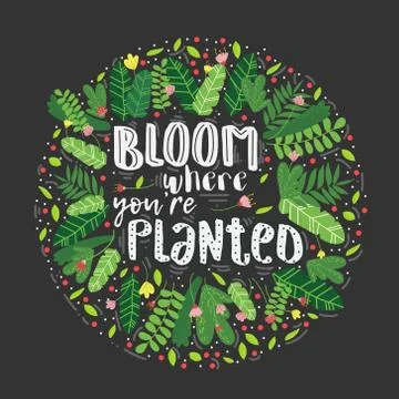 Vector lettering bloom where you are planted decor Stock Illustration