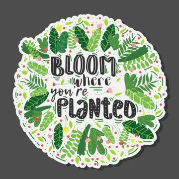 Vector lettering bloom where you are planted decor Stock Illustration