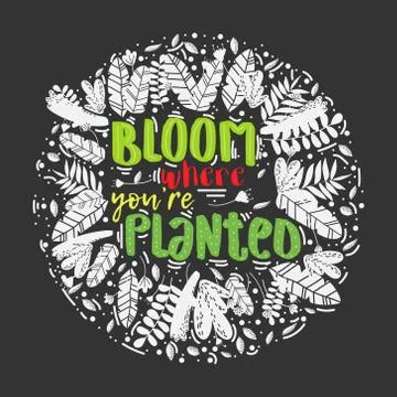 Vector lettering bloom where you are planted decor Stock Illustration
