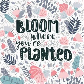 Vector lettering bloom where you are planted decor Stock Illustration