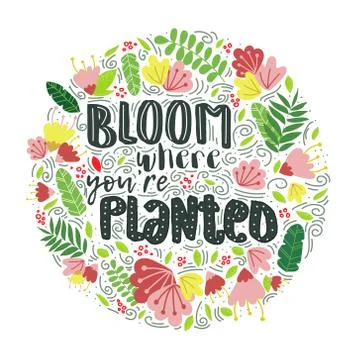 Vector lettering bloom where you are planted decor Stock Illustration