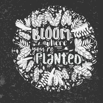 Vector lettering bloom where you are planted decor Stock Illustration