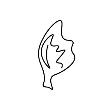 Vector lettuce leaf with a black line.Simple food and cooking illustration Stock Illustration