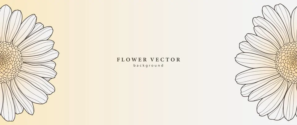 Vector light floral background with cute white daisies. Stock Illustration