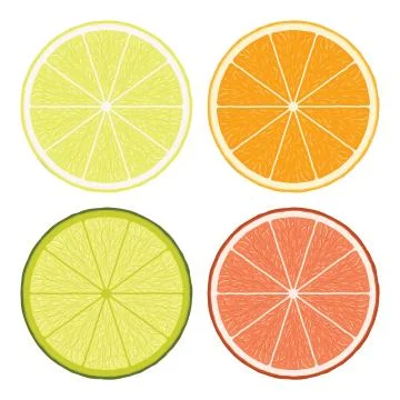 Vector lime, lemon, grapefruit and orange slices Stock Illustration