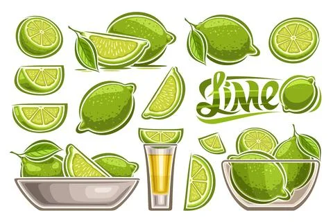Vector Lime Set Stock Illustration