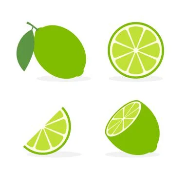 Vector lime slice green illustration lemon isolated half fruit lime. Fresh green Stock-Illustration
