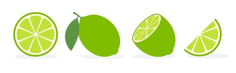 Vector lime slice green illustration lemon isolated half fruit lime. Fresh green Stock-Illustration