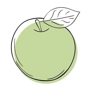 Vector line apple. Green sinmple doodle fruit. Stock Illustration