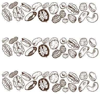Vector line art big border composition of mix nuts. Hand painted pistachio, w Stock Illustration