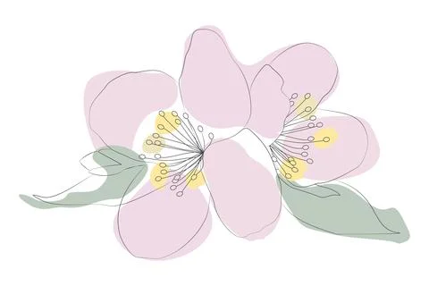 Vector Line art Boho style illustration. Graphics flower with colors stains.  Stock Illustration