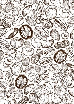 Vector line art card of mix nuts. Hand painted composition of pistachio, wa.. Stock Illustration