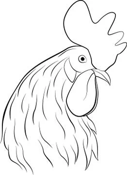 Vector line art illustration of rooster head isolated on white Illustrazione stock