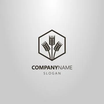  vector line art logo three wheat ears in a hexagon frame Illustrazione stock