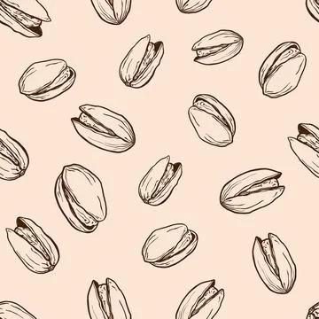 Vector line art seamless pattern of pistachio. Hand painted nuts on pastel .. Stock Illustration