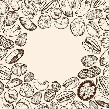 Vector line art square composition of mix nuts. Hand painted card of pistac.. Stock Illustration