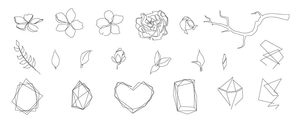 Vector line art stye set of flowers, leaves, branches and geometric shapes Stock Illustration