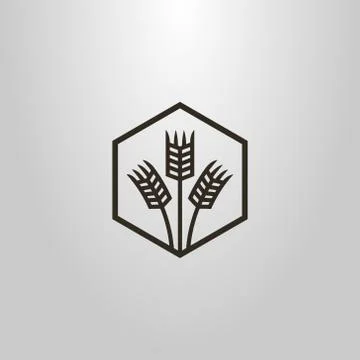Vector line art symbol of three wheat ears in a hexagon frame Stock Illustration