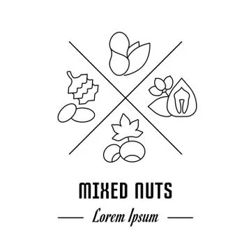 Vector Line Banner Mixed Nuts Free Stock Illustration