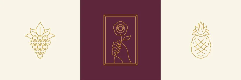 Vector line decoration design elements set - rose and gesture hand illustra.. Stock Illustration