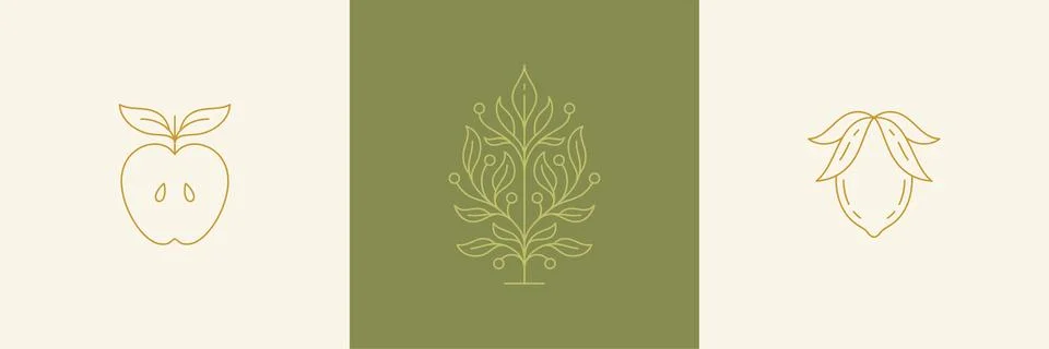 Vector line decoration design elements set - branch and leaves with apple h.. Stock Illustration